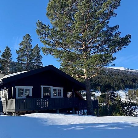Uvdalhytta - Close To Cross Country And Downhill Skiing Sonstebo 外观 照片